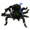 ZOO: plyšák pavúk 20cm (10816)