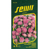 ASTROVKA ČÍNS. PRUHON. TRP. RUŽ./ PINOCCHIO PINK 0,50g