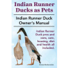 Indian Runner Ducks as Pets. Indian Runner Duck Pros and Con