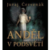 Anděl v podsvětí (2x Audio na CD - MP3) (Juraj Červenák)