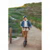 Ninebot by Segway Kickscooter P65E