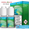 Ecoliquid e-liquid Ice meloun 2 X 10ml 0mg