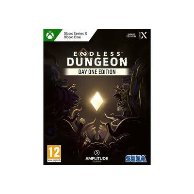 Hra Endless Dungeon (D1 Edition)