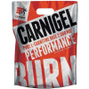 Extrifit Carnigel 25 x 60 g - marhuľa