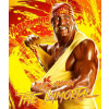 CUKROVÁ TLAČ Opłatek na Tort Cukrová hmota Wrestler Hulk Hogan + MENO