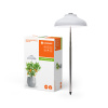 Ledvance Indoor Garden Umbrella 200 USB WT