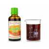 BAZALKA pravá - DUŠE ROSTLIN bylinné kapky/tinktura 50 ml BYLINNÉ KAPKY