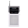 Rádio BLAUPUNKT PR4WH, AM/FM SLEVA 2%