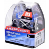 Compass White Laser H3 Pk22s 12V 55W 2 ks