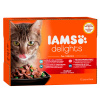 Iams Cat Delights multipack 12x85g