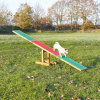 AGILITY hojdačka/lávka 300x54x34cm max.do 80kg TRIXIE