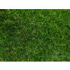 Condor Luxusní umělý trávník First Class Lawn Šíře role: 2 m
