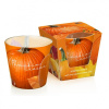 BARTEK CANDLES Vonná sviečka sójová Pumpkin season 115g