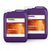 PLAGRON COCOS A+B 2 x 5 L (PLAGRON COCOS A+B 2x5L, DVOJZLOŽKA NA KOKOS)