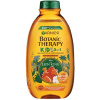 Garnier Botanic Therapy Botanic Therapy Disney Kids 2v1 šampón&kondicionér Leví kráľ, marhuľa, 400 ml