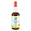 Salvia Paradise Rozchodnice růžová - Rhodiola AF tinktura 30 ml