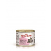 Royal Canin Babycat Instinctive 195 g kapsička pre mačiatka