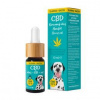 Zelená Země CBD olej s príchuťou slaniny 10 % 10 ml