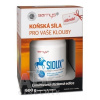Barnys Sioux MSM Super Forte + Darček ULTRA-C IMUNO COMPLEX cps 30 ks + Sioux prášok 600 g, 1x1 set