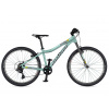 Bicykel Author Limit 24 zelený-strieborný-2025