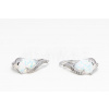 Patentové náušnice strieborné AGNAUP000437
