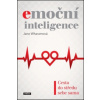 Emoční inteligence