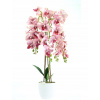 Umelá orchidea, orchidea, kvetina, ružová 70 cm