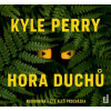 Hora duchů (Kyle Perry) - 2CD (MP3)