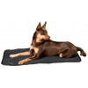 Back on Track Allround matrac pre psa 55x38cm