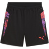 Puma IndividualCUP Training Shorts Adults Puma Black M