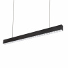 Spectrum WOJP07701