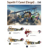Sopwith F.1 Camel (Clerget), Weekend edition