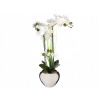 Orchidea v bielom kvetináči 56 cm ozdoba dekorácia