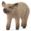 SCHLEICH Farm World Malé prasiatko Mangalica, domáce prasa 14893