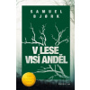 V lese visí anděl - Samuel Bjork, Tomáš Cikán (ilustrátor)