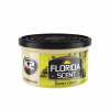 FLORIDA SCENT Funky Lemon