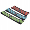 HMS Hip band HB12