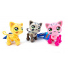 Euro-Trade Mačička na kolieskách 11cm - náhodná