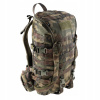 Turistický batoh Wisport Reindeer 75 61-80 L viacfarebný (Wisport Zipper Fox Backpack 25 L WZ.)