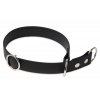 Firedog BioThane obojok Sport 25 mm 45 cm čierny