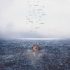 Shawn Mendes - Wonder (Music CD)