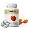 MycoMedica Agaricus 90 kapsúl