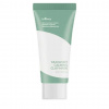 ISNTREE - Mugwort Calming Clay Mask MINI - Upokojujúca ílová maska s palinou MINI 20ml