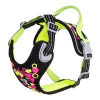 Hurtta Weekend Warrior NEON - postroj pro psy 80-100 cm
