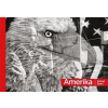 Amerika - Daniel Šperl