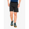 Bežecké kraťasy Dynafit Alpine Shorts - black