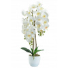 Umelá orchidea orchid kvet, hustá biela 70 cm