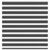 zahrada-XL Zebra roleta čierna 145x100 cm šírka látky 140,9cm polyester 4014218
