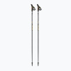 Nordic walking palice Fizan Runner gold