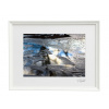 Atelier - Petr Vydra Umelecká fotografia Abstrakcia - Kaluž (biely rám), Velikost a varianta fotografií Černý rám 30 x 40 cm ( pasparta 21x 30 cm )